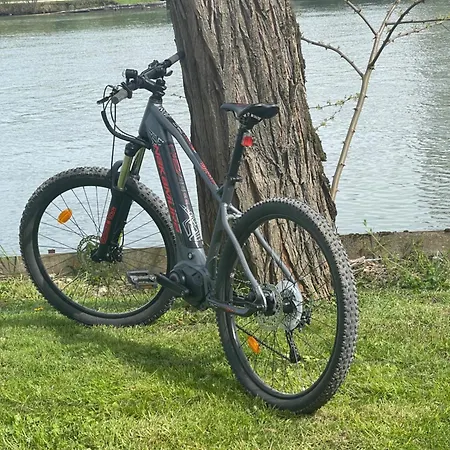 Ambiance Seine, Lumineux En Bordure De Seine - Chouette